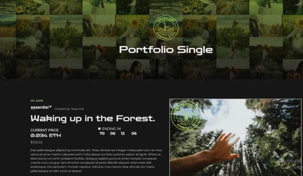 Essential - Photography NFT Portfolio Elementor Template