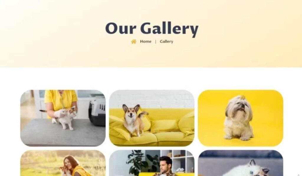 ZimmyPet - Pet Care & Store Elementor Template