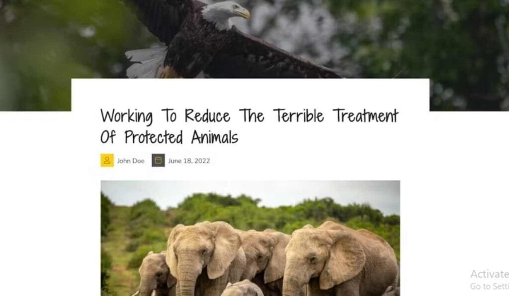 Wildzy – Wildlife Photography Elementor Template