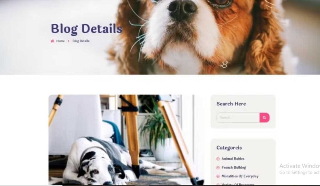 Peat - Pet Care & Adoption Elementor Template