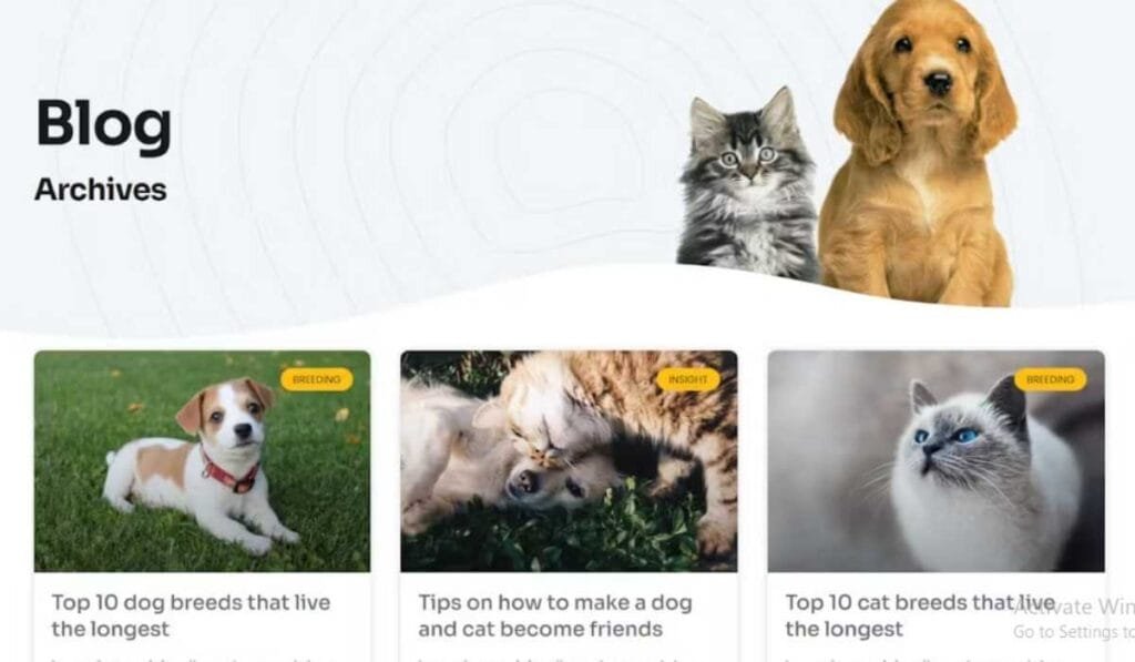 PawPaw - WooCommerce Pet Shop & Pet Care Elementor Template