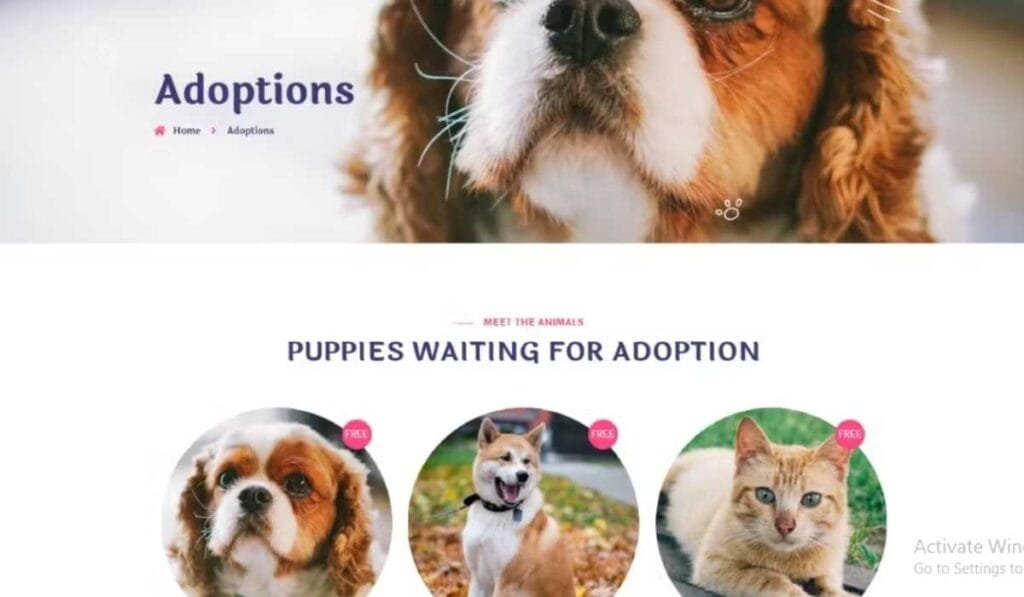 Peat - Pet Care & Adoption Elementor Template